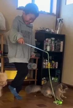 M.K 様のお迎えした子猫