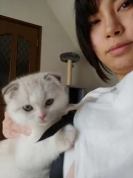 ショウ 様のお迎えした子猫