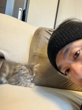 ノリ 様のお迎えした子猫