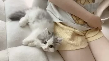 R.T 様のお迎えした子猫