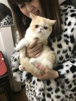 真理子 様のお迎えした子猫