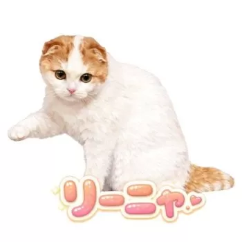 みゅう 様のお迎えした子猫