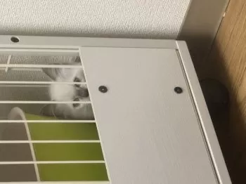 うしさん 様のお迎えした子猫