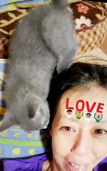 ecco 様のお迎えした子猫