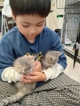 S 様のお迎えした子猫