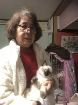 T.Kサラちゃん 様のお迎えした子猫