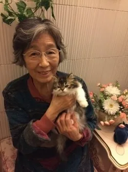 Emerald 様のお迎えした子猫