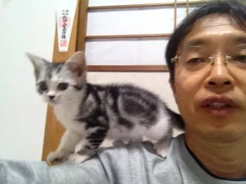 いえもと 様のお迎えした子猫