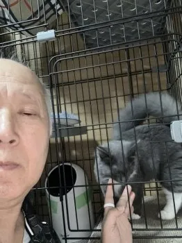 ワオちゃん 様のお迎えした子猫
