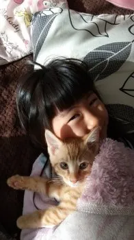 おゆづ 様のお迎えした子猫