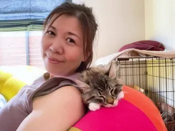 ももちのすけ 様のお迎えした子猫