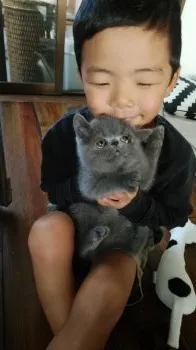 清井 博子 様のお迎えした子猫