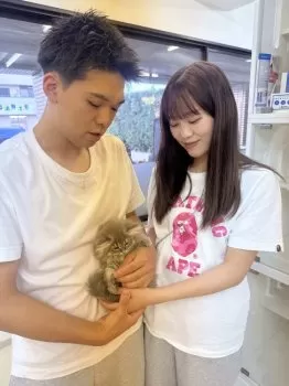 J.N 様のお迎えした子猫