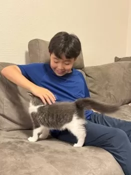 C.I. 様のお迎えした子猫