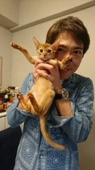 トミースター 様のお迎えした子猫