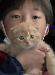 こう 様のお迎えした子猫