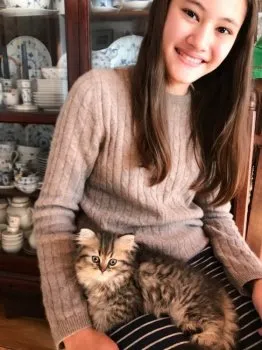 マンゴーママズ 様のお迎えした子猫