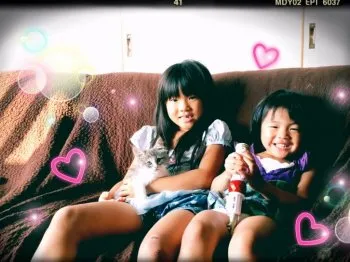 なぎさ 様のお迎えした子猫