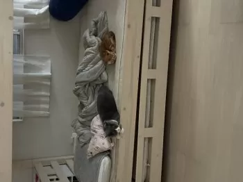 Y 様のお迎えした子猫