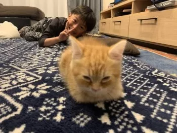 M.T 様のお迎えした子猫