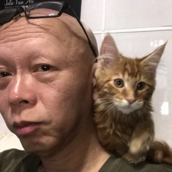 しぃちゃん 様のお迎えした子猫