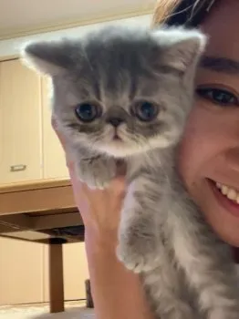 つーちゃんママ 様のお迎えした子猫