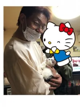 ほるんママ 様のお迎えした子猫