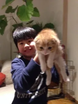 マイ 様のお迎えした子猫