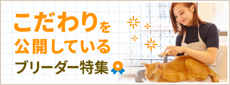 こだわりを公開しているブリーダー特集
