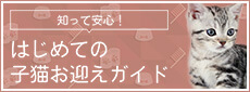 知って安心！はじめての子猫お迎えガイド